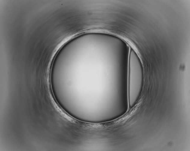 X0000094920957200712201217