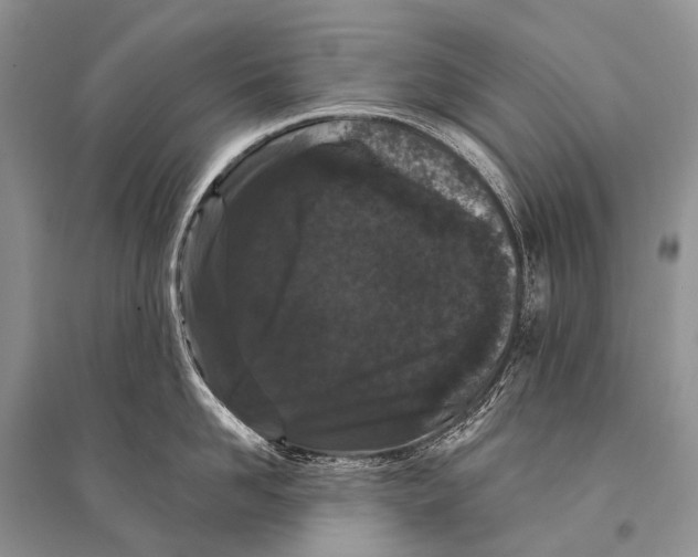 X0000094920958200712201217