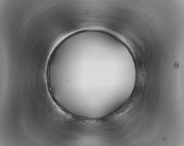 X0000094920959200712201217