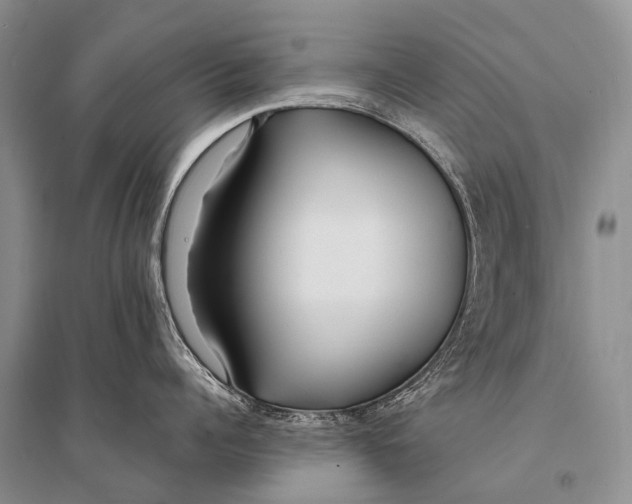 X0000094920960200712201217