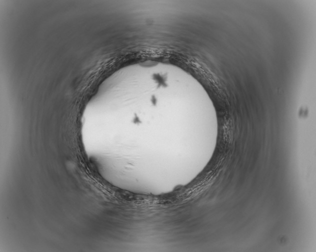 X0000094920961200712201216