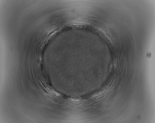 X0000094920964200712201216