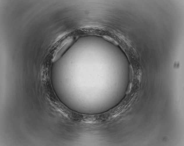 X0000094920965200712201216