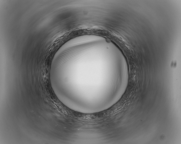 X0000094920966200712201216