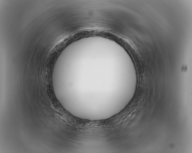 X0000094920967200712201216