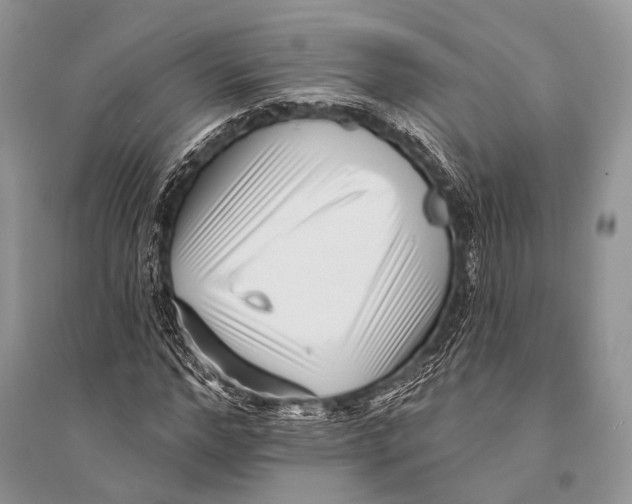 X0000094920968200712201216