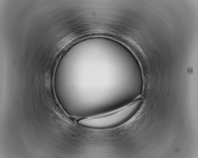 X0000094920969200712201216