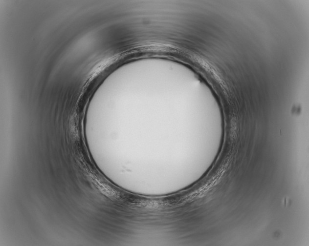 X0000094920970200712201216