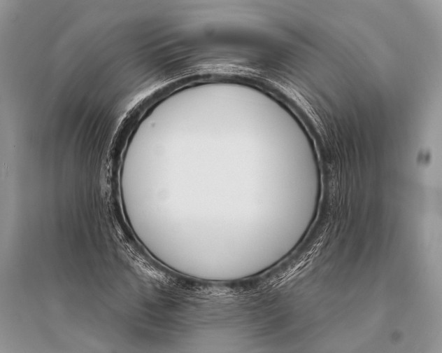 X0000094920971200712201216