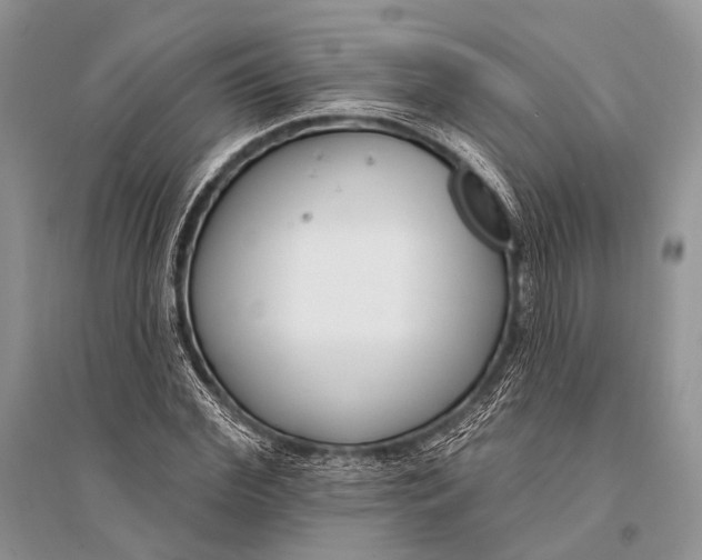 X0000094920972200712201216