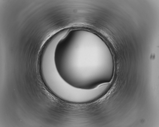 X0000094920973200712201216