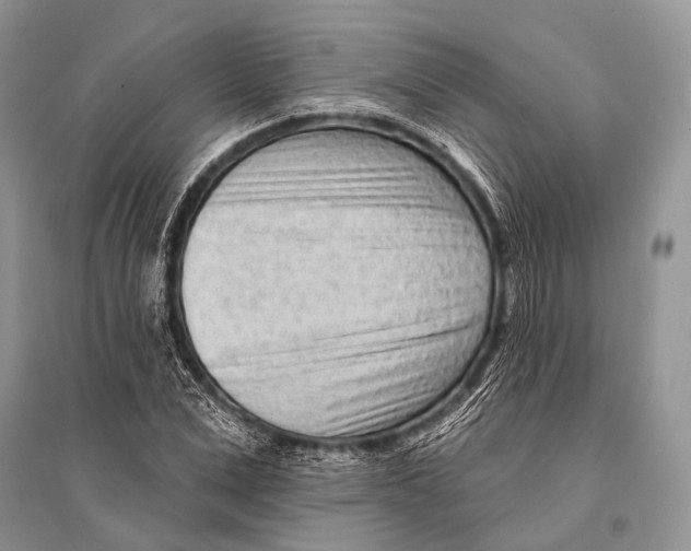 X0000094920975200712201216