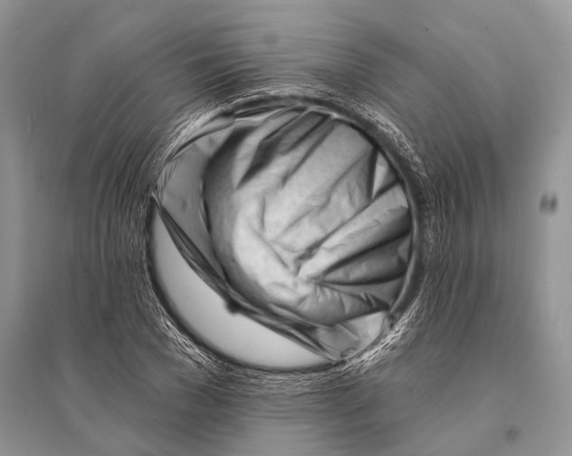 X0000094920977200712201216