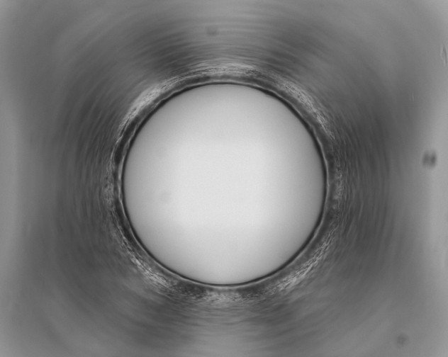 X0000094920978200712201216