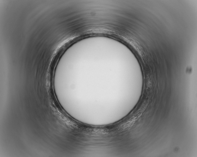 X0000094920979200712201216