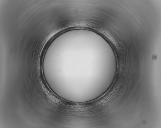 X0000094920980200712201216