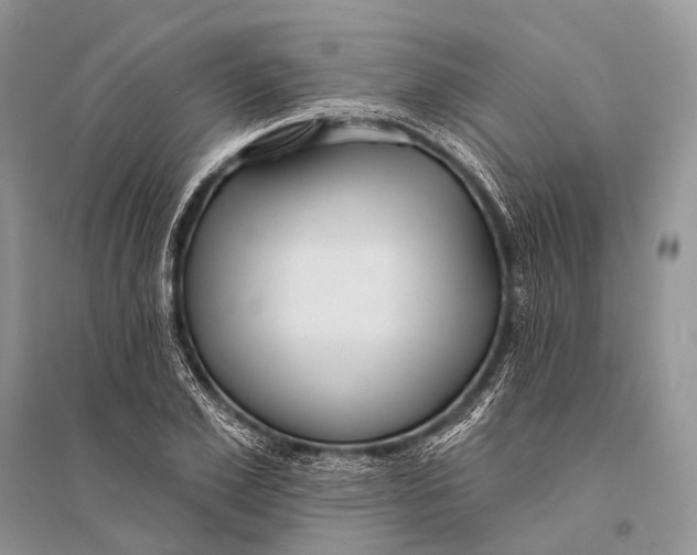 X0000094920981200712201216