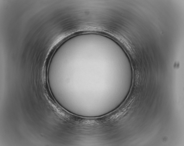 X0000094920982200712201216