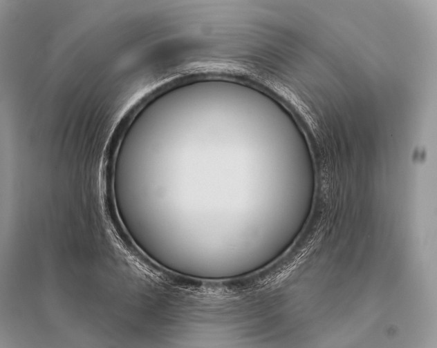 X0000094920983200712201216