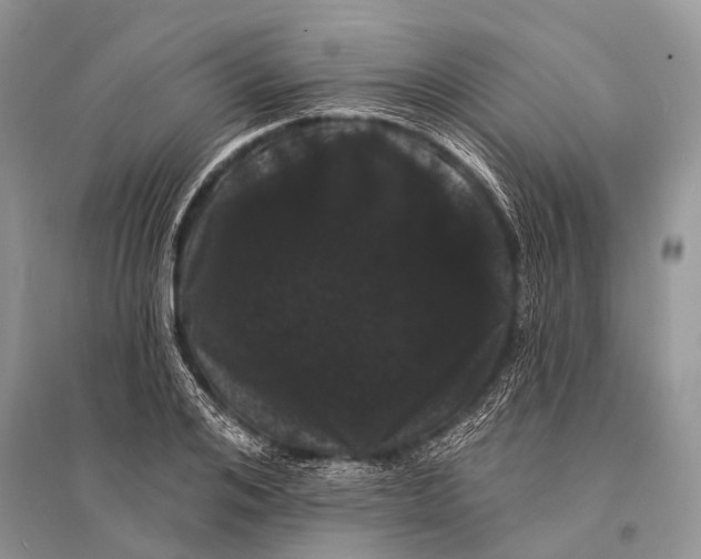 X0000094920984200712201216