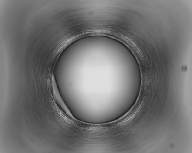 X0000094920985200712201216