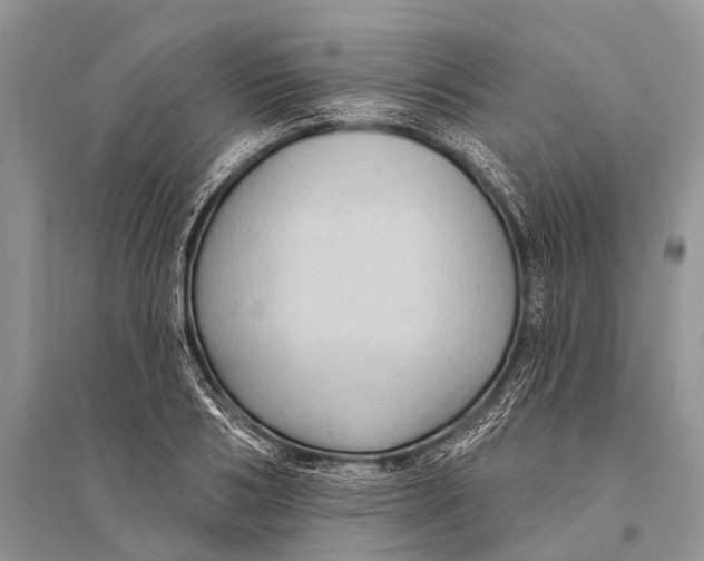 X0000094920986200712201216