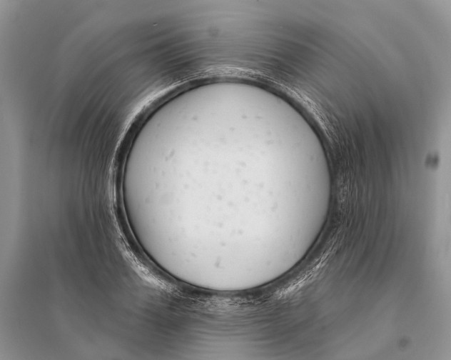 X0000094920987200712201216