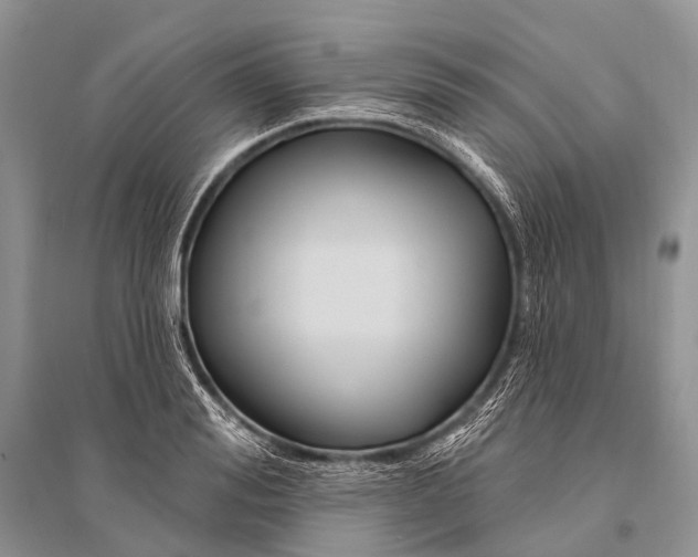 X0000094920988200712201216