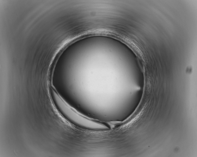 X0000094920989200712201216