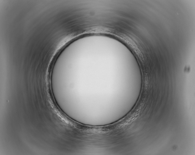 X0000094920990200712201216