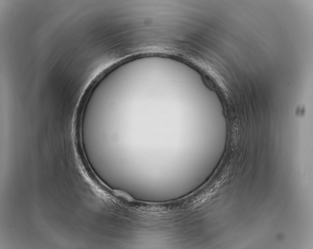 X0000094920991200712201216