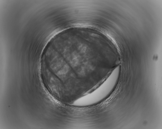 X0000094920992200712201216