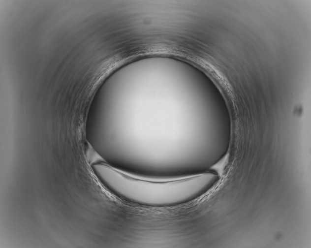 X0000094920993200712201216