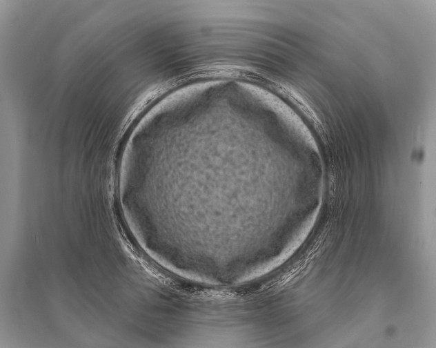 X0000094920994200712201216