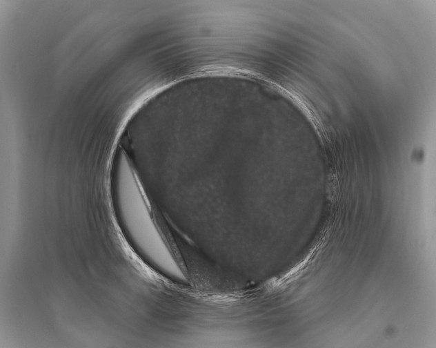 X0000094920995200712201216