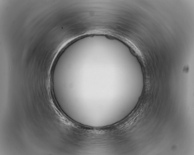 X0000094920996200712201216