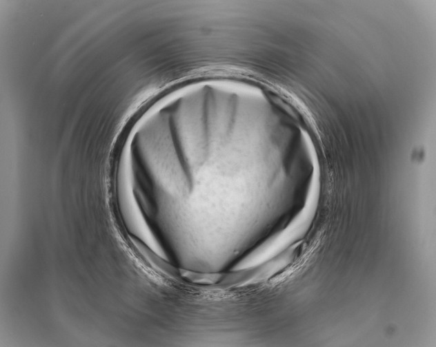 X0000094920997200712201216