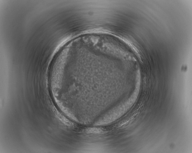 X0000094920998200712201216