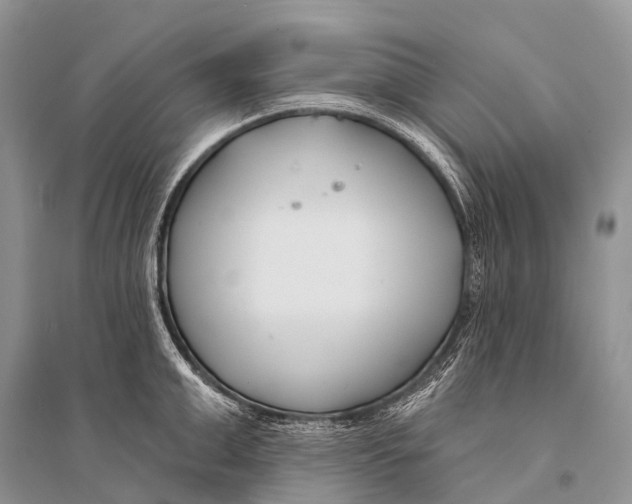 X0000094920999200712201216