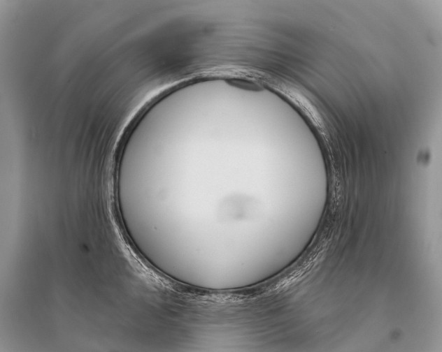 X0000094921000200712201216