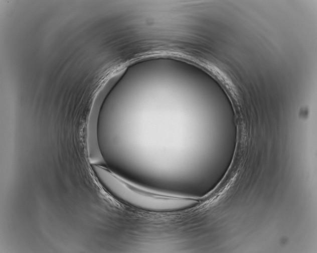 X0000094921001200712201216