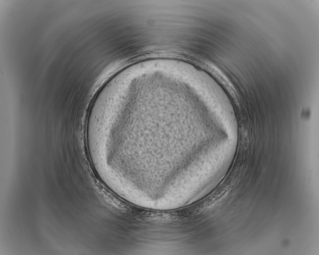 X0000094921002200712201216