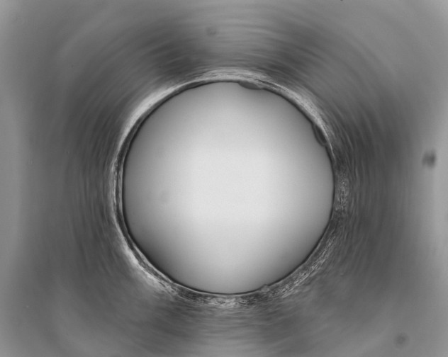 X0000094921003200712201216