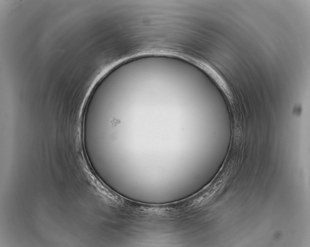 X0000094921004200712201215