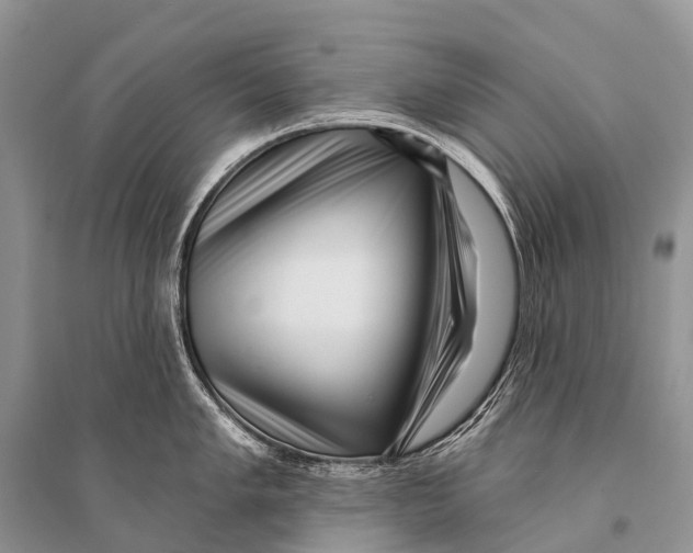 X0000094921005200712201215