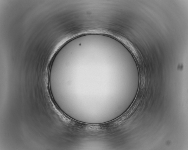 X0000094921006200712201215