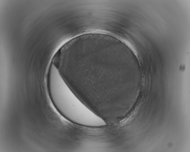 X0000094921007200712201215