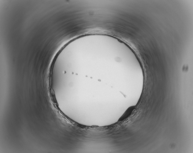 X0000094921008200712201215