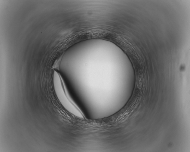 X0000094921010200712201215