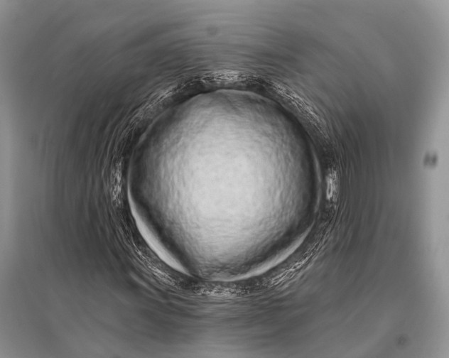 X0000094921011200712201215